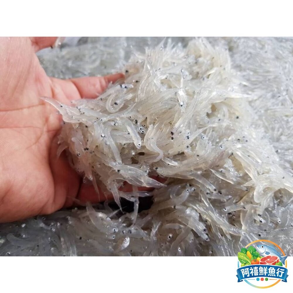 板橋阿禧鮮魚行台灣 生鮮 魩仔魚  吻仔魚  新鮮 寶寶副食品  全站799元免運費 現貨-細節圖3