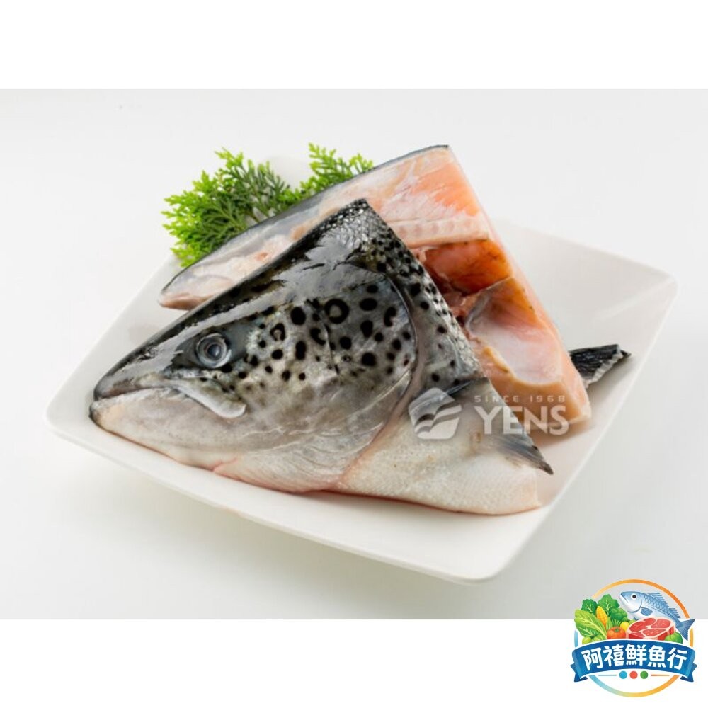 板橋阿禧鮮魚行鮭魚頭 鮭魚  全站799元免運費 現貨
