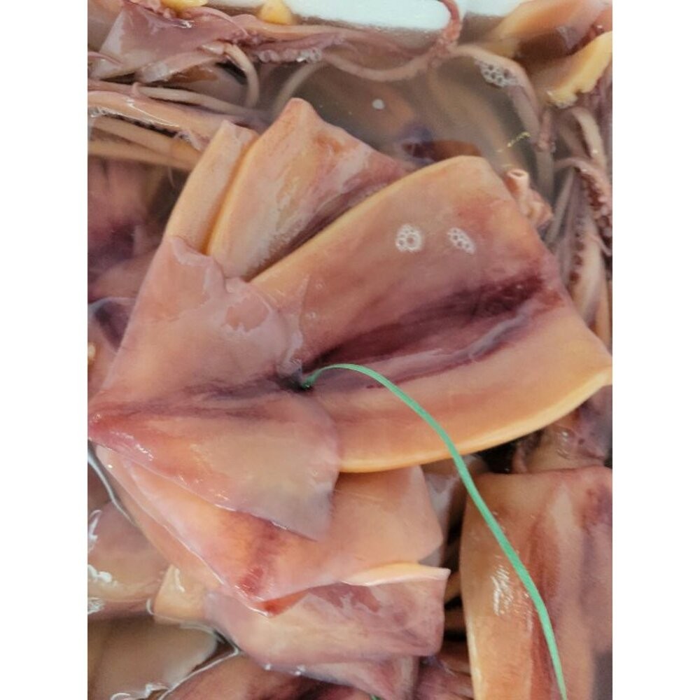 整尾泡魷魚(9尾送1尾)