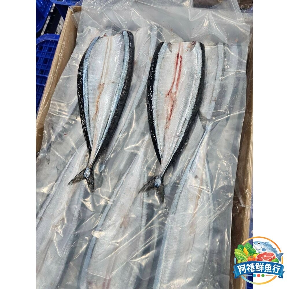 板橋阿禧鮮魚行去頭秋刀魚 蝴蝶切 — 鮮甜無負擔  秋刀魚 烤肉  全站799元免運費 現貨-細節圖2