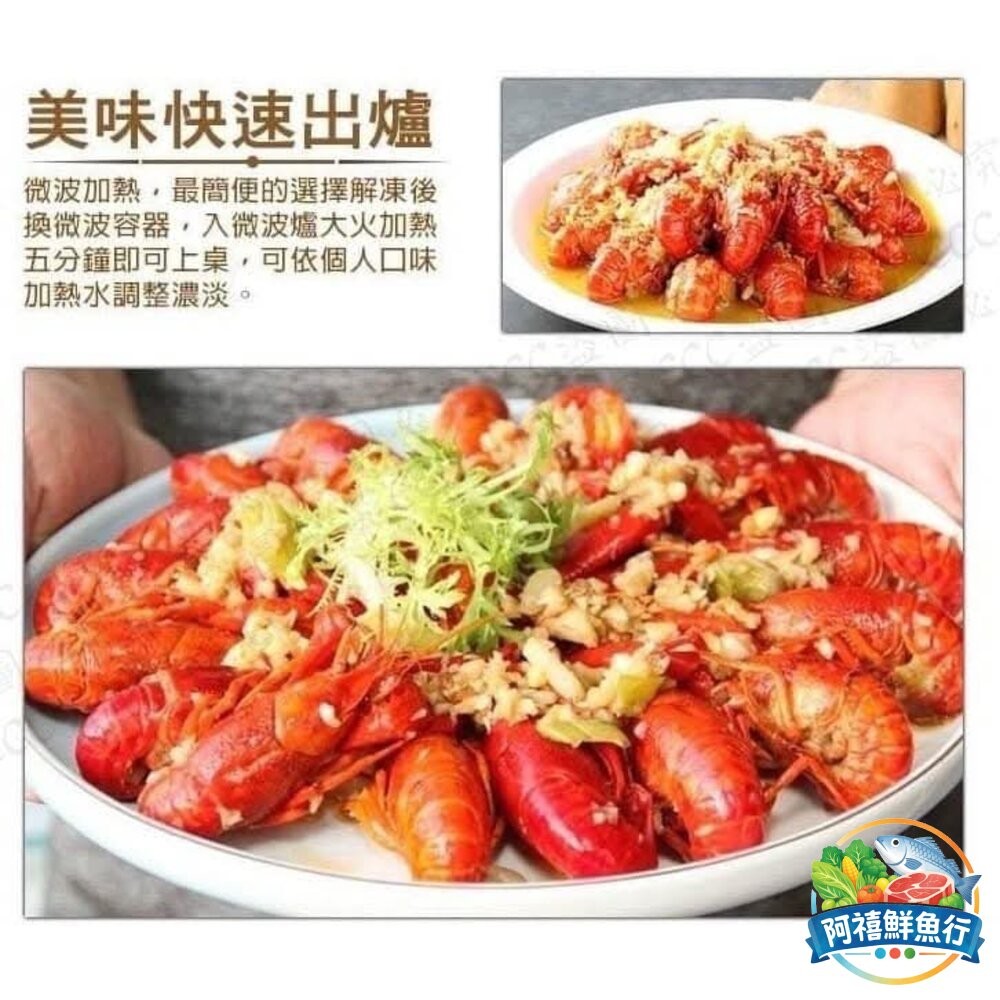 板橋阿禧鮮魚行麻辣  蒜蓉 小龍蝦  龍蝦  全站799元免運費 現貨-細節圖4