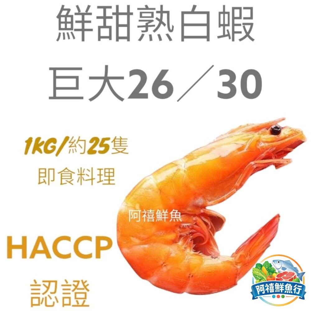 板橋阿禧鮮魚行熟白蝦 現抓起來馬上蒸煮蝦肉新鮮Q彈 蝦  全站799元免運費 現貨-細節圖2