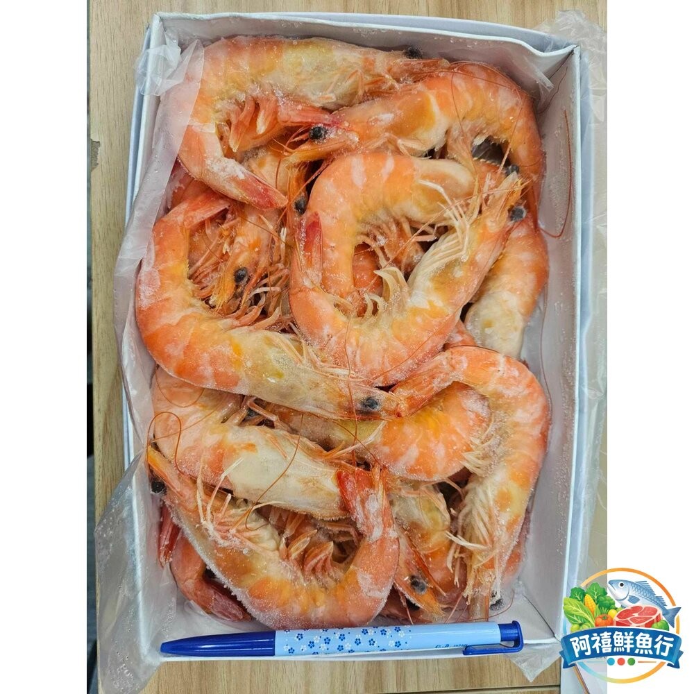 板橋阿禧鮮魚行熟白蝦 現抓起來馬上蒸煮蝦肉新鮮Q彈 蝦  全站799元免運費 現貨-細節圖3