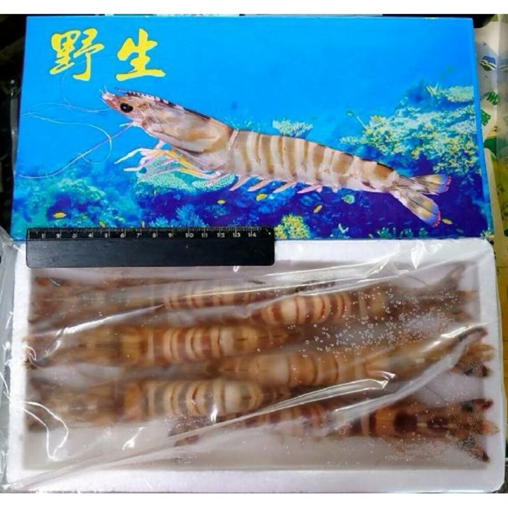 板橋阿禧鮮魚行野生 明蝦 大蝦  全站799元免運費 現貨-規格圖1