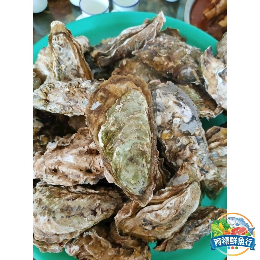 板橋阿禧鮮魚行帶殼 鮮蚵 生蠔 活凍出貨 蚵殼  全站799元免運費 現貨-細節圖2