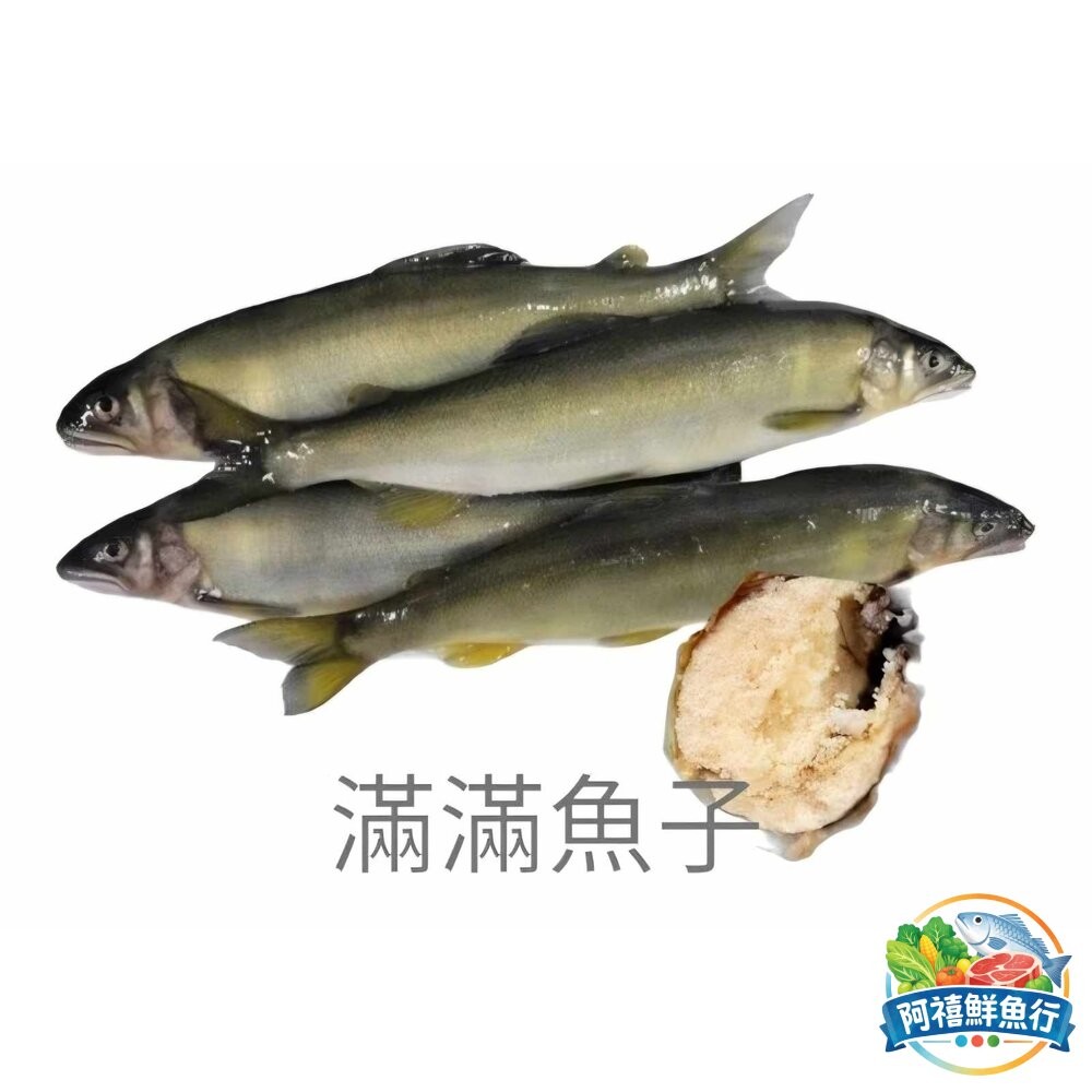 板橋阿禧鮮魚行宜蘭 爆卵 母香魚 魚  全站799元免運費 現貨