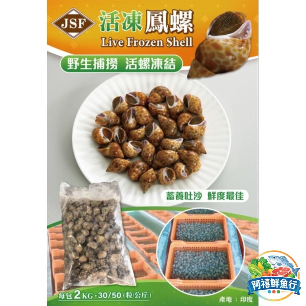 板橋阿禧鮮魚行活凍鳳螺  全站799元免運費 現貨-細節圖4