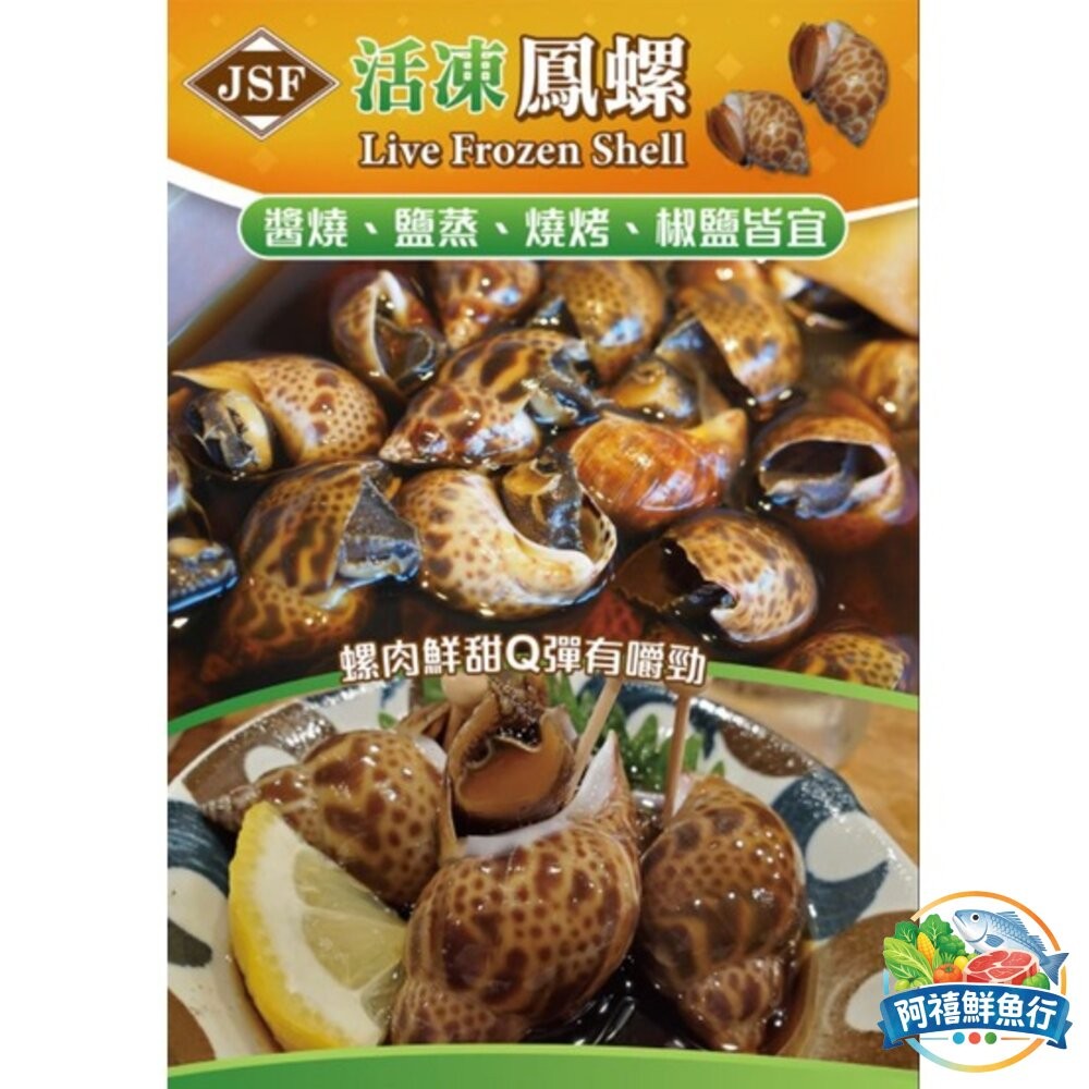 板橋阿禧鮮魚行活凍鳳螺  全站799元免運費 現貨-細節圖3