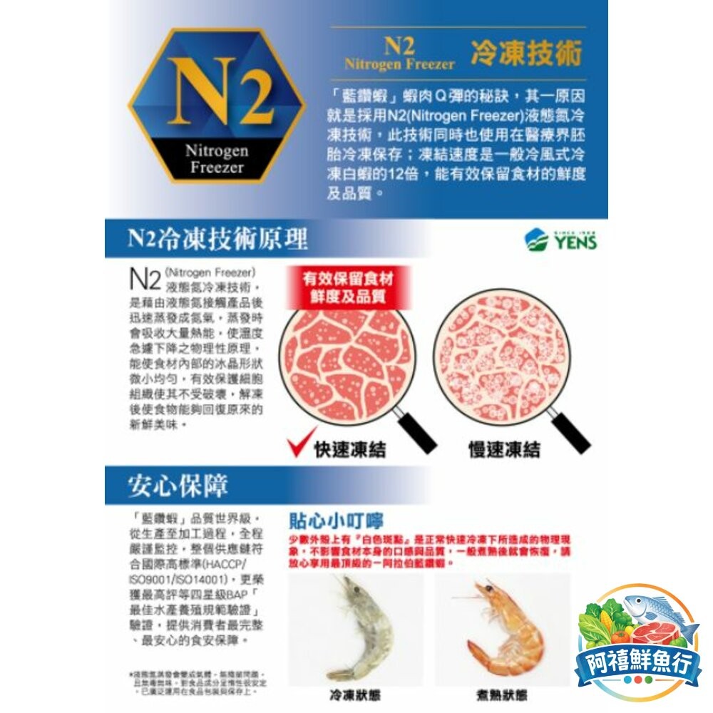 板橋阿禧鮮魚行藍鑽蝦 蝦  蝦子 活凍蝦  全站799元免運費 現貨-細節圖3