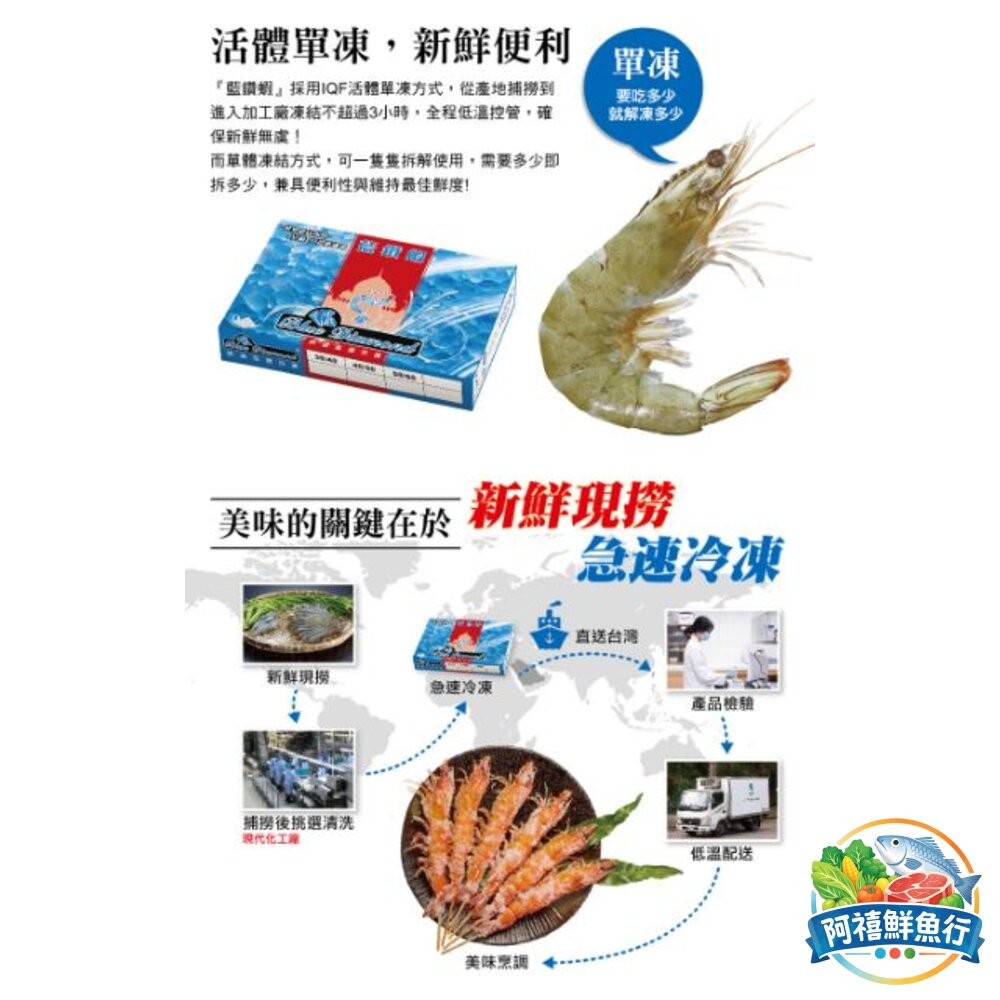 板橋阿禧鮮魚行藍鑽蝦 蝦  蝦子 活凍蝦  全站799元免運費 現貨-細節圖4