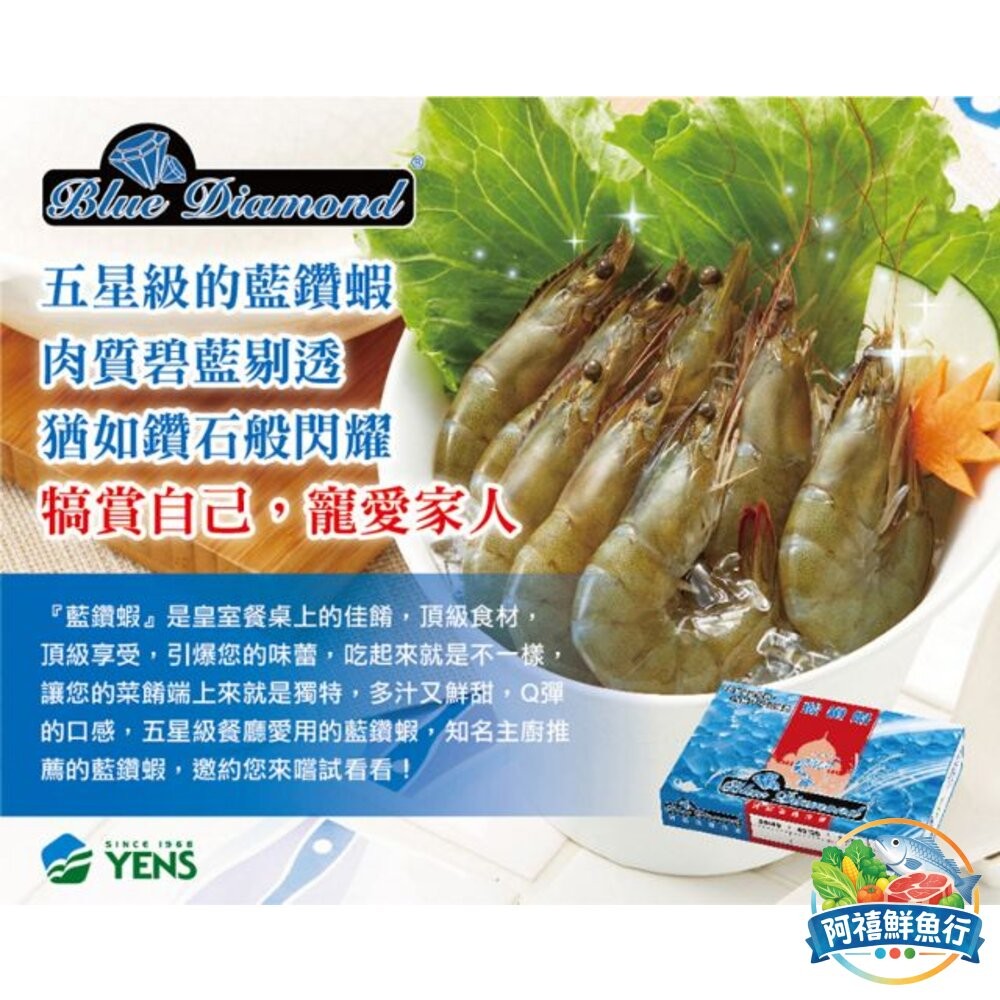 板橋阿禧鮮魚行藍鑽蝦 蝦  蝦子 活凍蝦  全站799元免運費 現貨-細節圖5