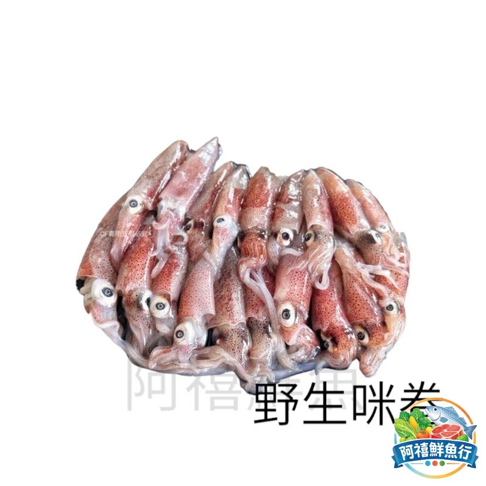 板橋阿禧鮮魚行盒卷  生小卷 咪咪卷  全站799元免運費 現貨-細節圖3