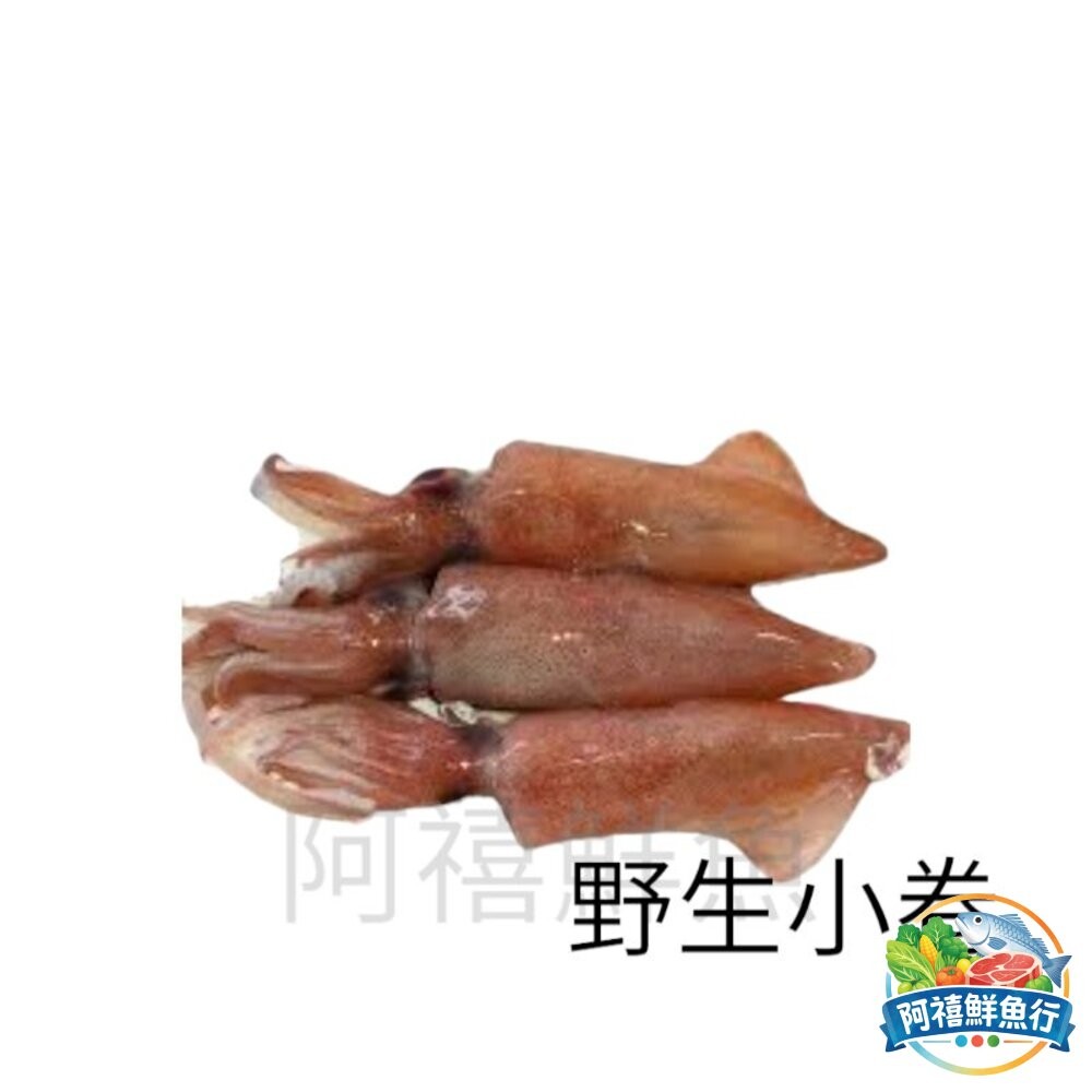 板橋阿禧鮮魚行盒卷  生小卷 咪咪卷  全站799元免運費 現貨-細節圖2