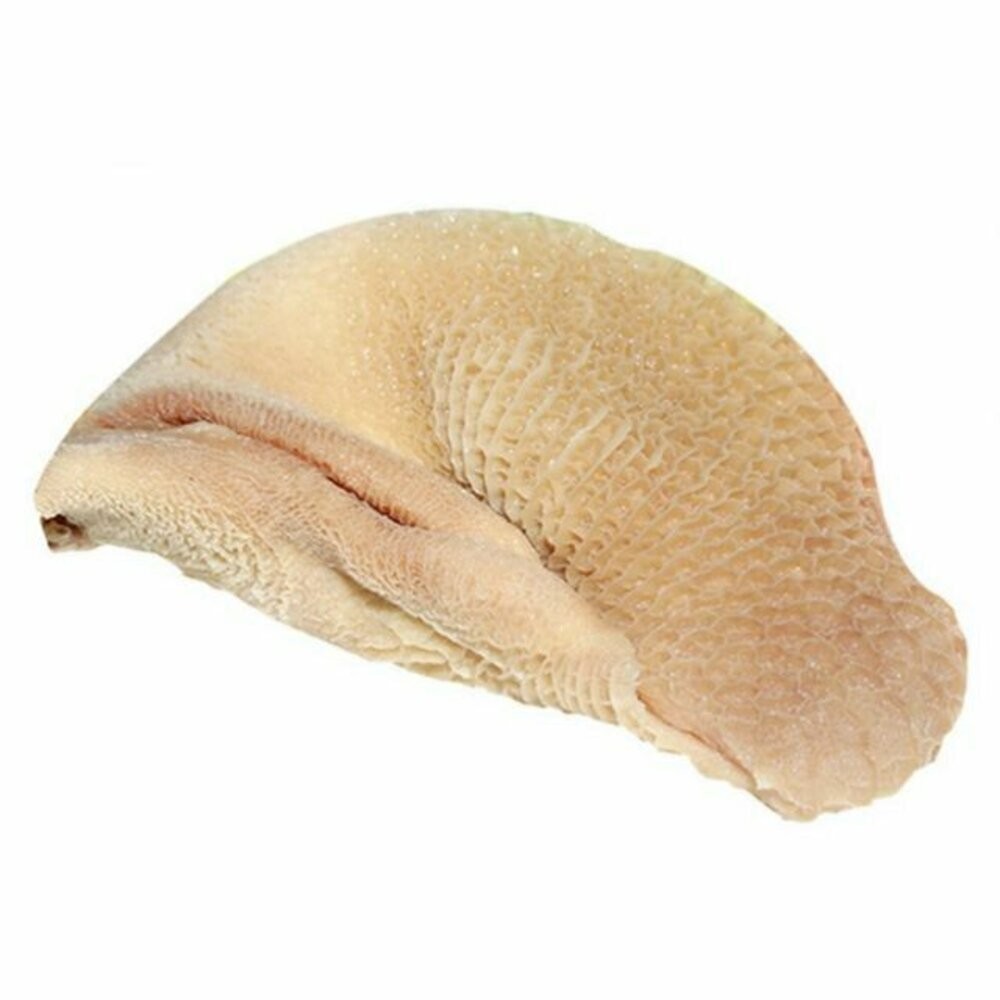 板橋阿禧鮮魚行牛筋/牛肚  全站799元免運費 現貨-牛肚X5包