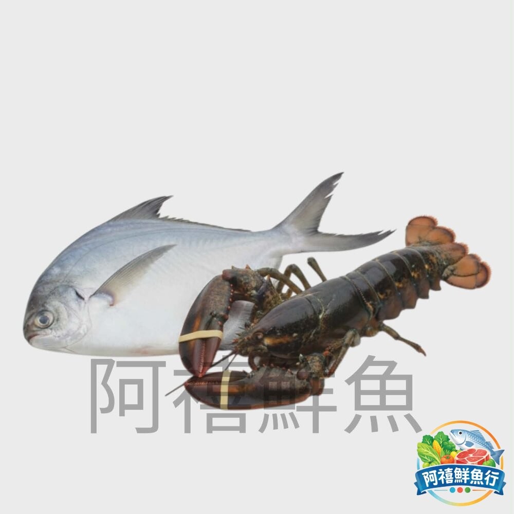 板橋阿禧鮮魚行​🧧【吉祥如意】頂級海鮮禮盒 — ​富貴白鯧 ​鴻運大蝦 ​極品干貝 ​鮮甜軟絲  讓您的心意，大氣又鮮-細節圖5