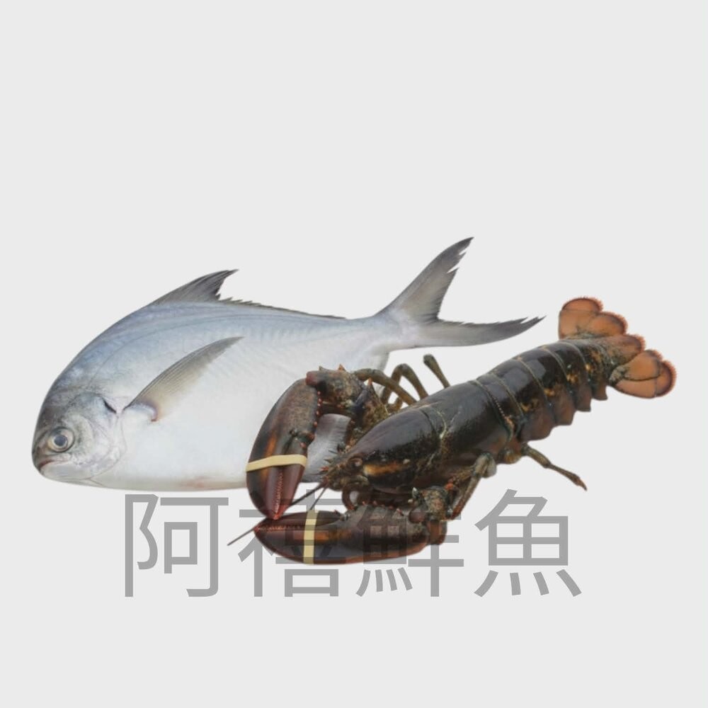 板橋阿禧鮮魚行​🧧【吉祥如意】頂級海鮮禮盒 — ​富貴白鯧 ​鴻運大蝦 ​極品干貝 ​鮮甜軟絲  讓您的心意，大氣又鮮-規格圖5