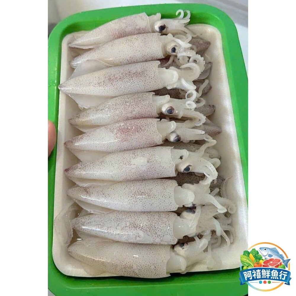 板橋阿禧鮮魚行生鮮 帶卵母卷 小卷 超甜  全站799元免運費 現貨-細節圖3