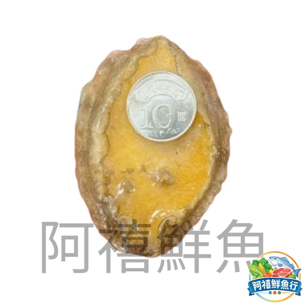 板橋阿禧鮮魚行超特大 鮑魚清肉 一公斤／20粒  醬汁鮑魚 沙拉切片鮑魚 五味醬鮑魚  全站799元免運費 現貨-細節圖2