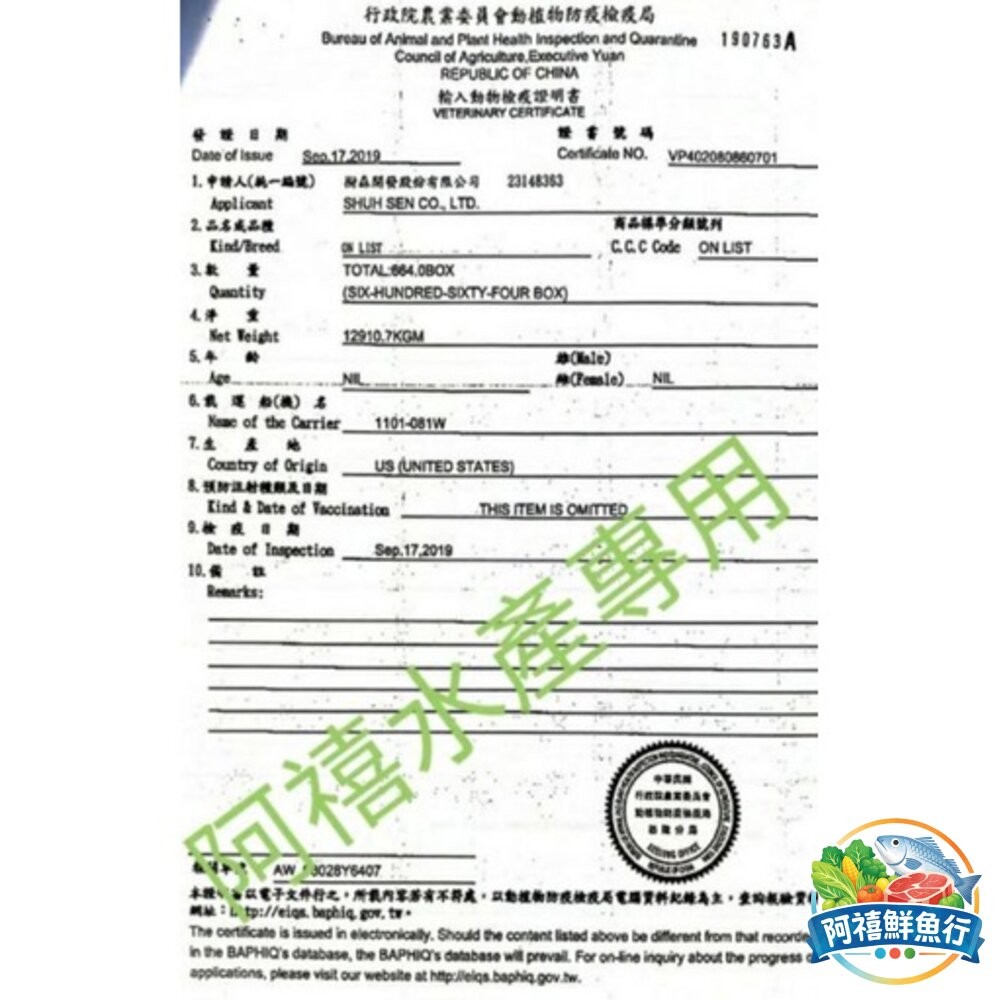 板橋阿禧鮮魚行潮汕牛肉丸 牛肉 300g  全站799元免運費 現貨-細節圖3