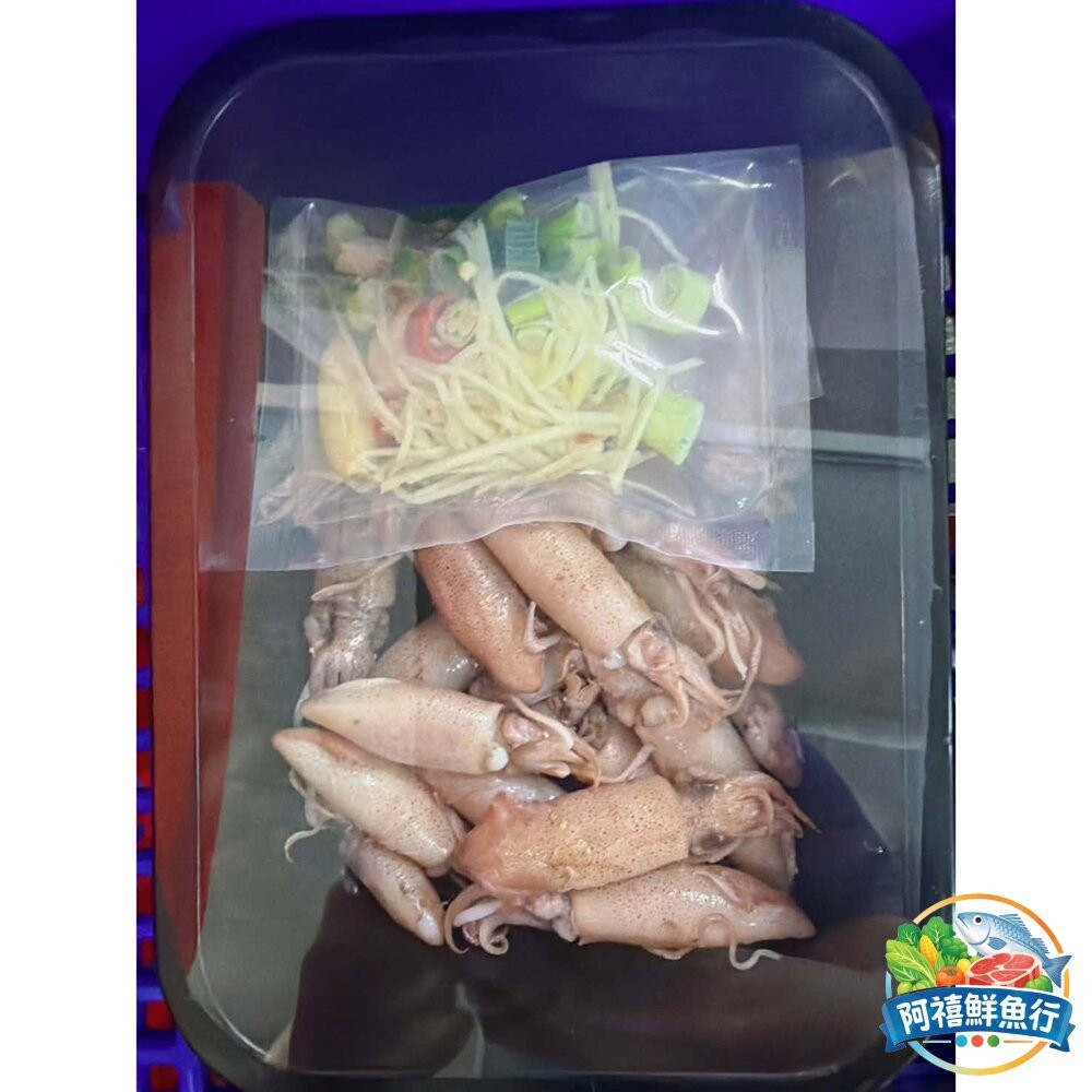 板橋阿禧鮮魚行【現撈極鮮】海味薑絲小卷組合包｜肉質 Q 彈爆汁 配料全包 零失敗快炒 5 分鐘澎湃上桌！  全站799-細節圖2