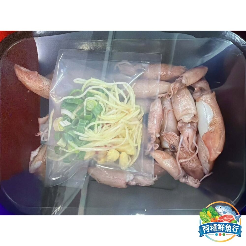 板橋阿禧鮮魚行【現撈極鮮】海味薑絲小卷組合包｜肉質 Q 彈爆汁 配料全包 零失敗快炒 5 分鐘澎湃上桌！  全站799-細節圖3