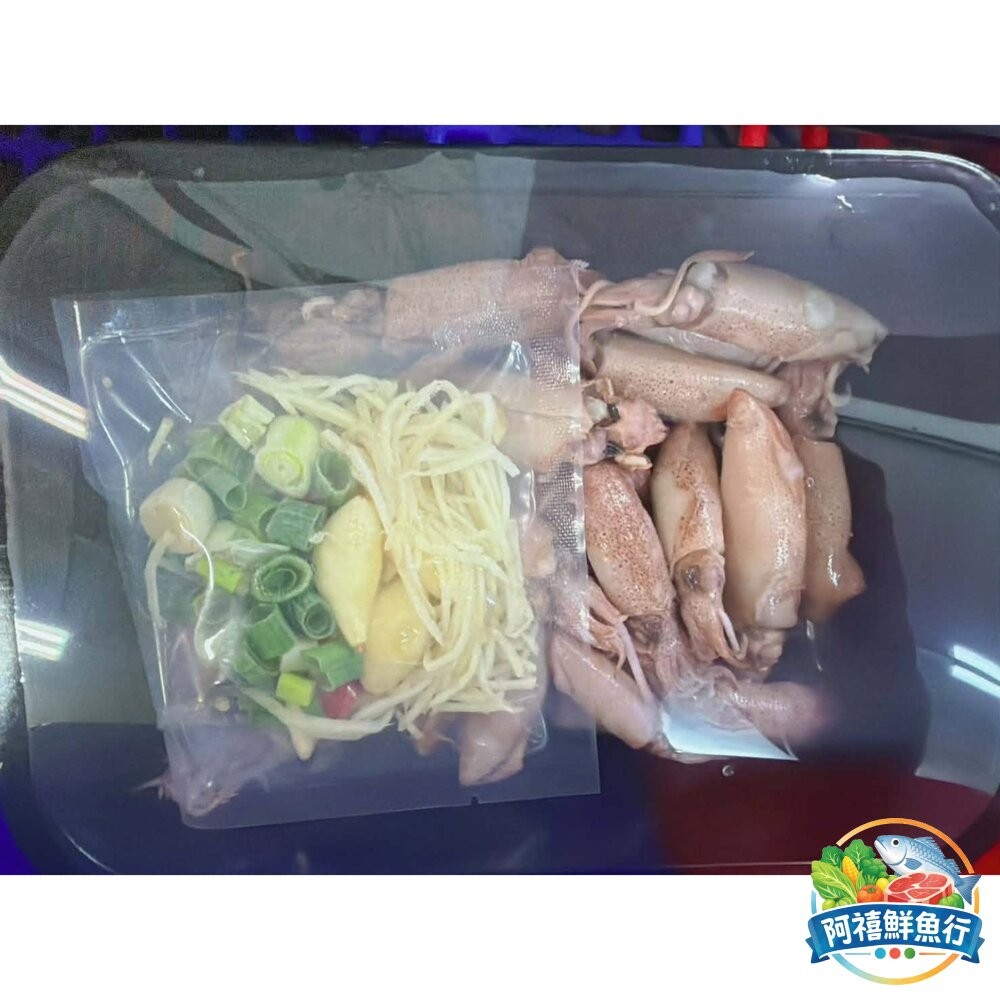 板橋阿禧鮮魚行【現撈極鮮】海味薑絲小卷組合包｜肉質 Q 彈爆汁 配料全包 零失敗快炒 5 分鐘澎湃上桌！  全站799-細節圖5