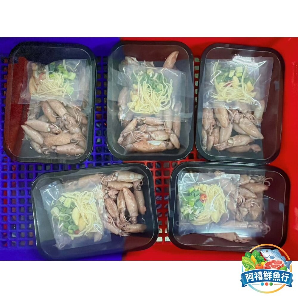 板橋阿禧鮮魚行【現撈極鮮】海味薑絲小卷組合包｜肉質 Q 彈爆汁 配料全包 零失敗快炒 5 分鐘澎湃上桌！  全站799-細節圖7