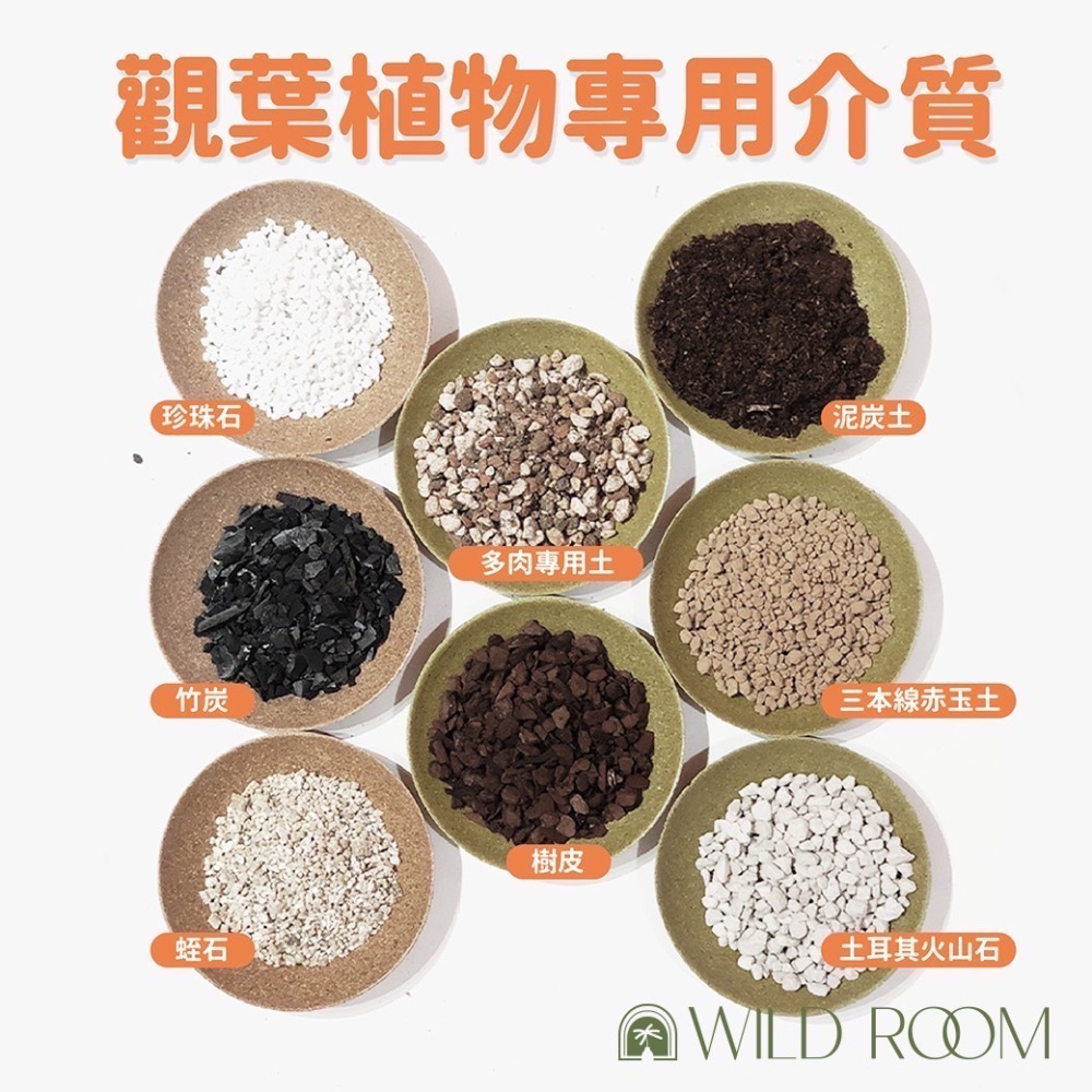 Wild Room｜觀葉植物 觀葉土 多肉植物 介質 塊根 赤玉土 室內介質 顆粒 龜背芋 觀音蓮 蔓綠絨 花燭 仙人掌-細節圖2