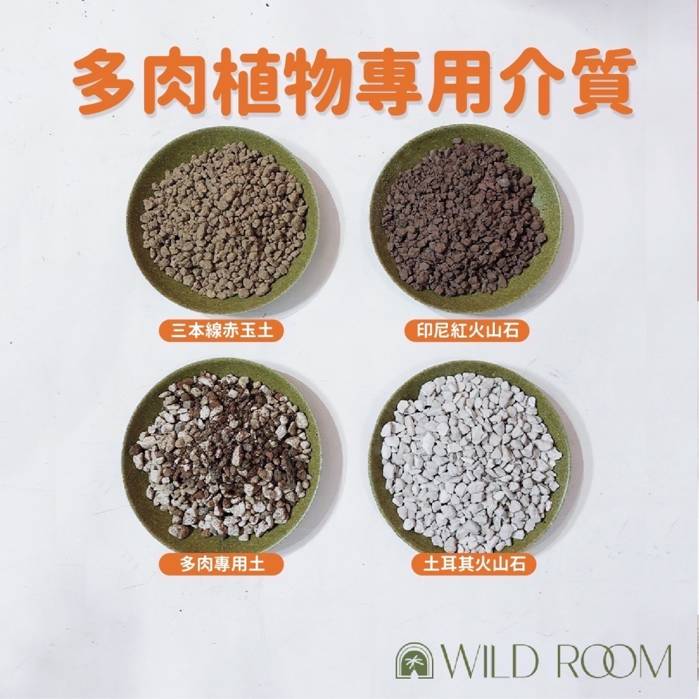 Wild Room｜觀葉植物 觀葉土 多肉植物 介質 塊根 赤玉土 室內介質 顆粒 龜背芋 觀音蓮 蔓綠絨 花燭 仙人掌-細節圖3