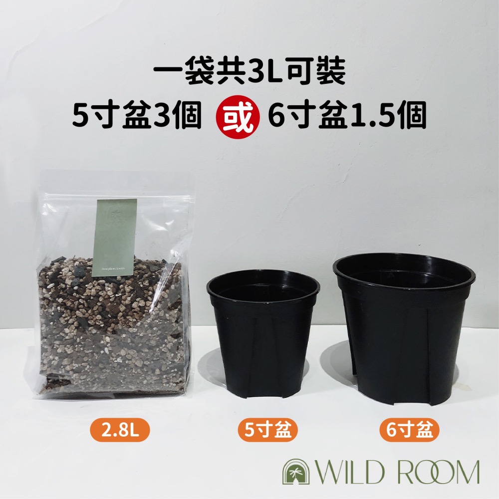Wild Room｜觀葉植物 觀葉土 多肉植物 介質 塊根 赤玉土 室內介質 顆粒 龜背芋 觀音蓮 蔓綠絨 花燭 仙人掌-細節圖4