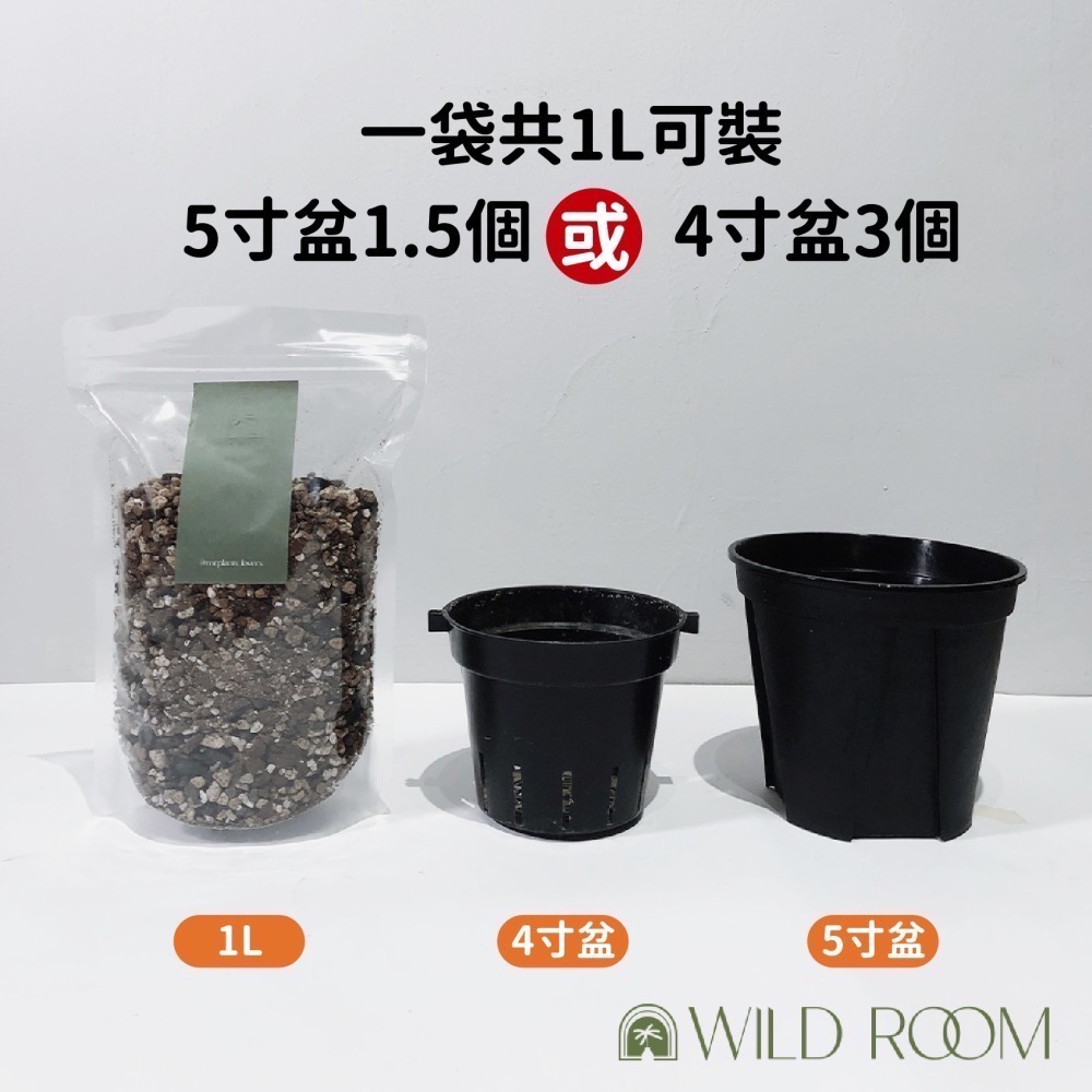 Wild Room｜觀葉植物 觀葉土 多肉植物 介質 塊根 赤玉土 室內介質 顆粒 龜背芋 觀音蓮 蔓綠絨 花燭 仙人掌-細節圖5