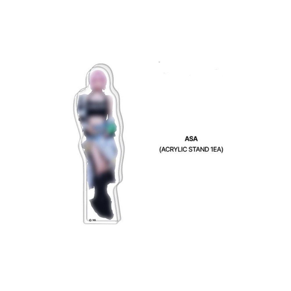 官方正品 寶怪BABYMONSTER WEGOUP周邊賣場 相片組 小卡 卡冊組 卡包 立牌 絨毛吊飾鑰匙圈-規格圖5