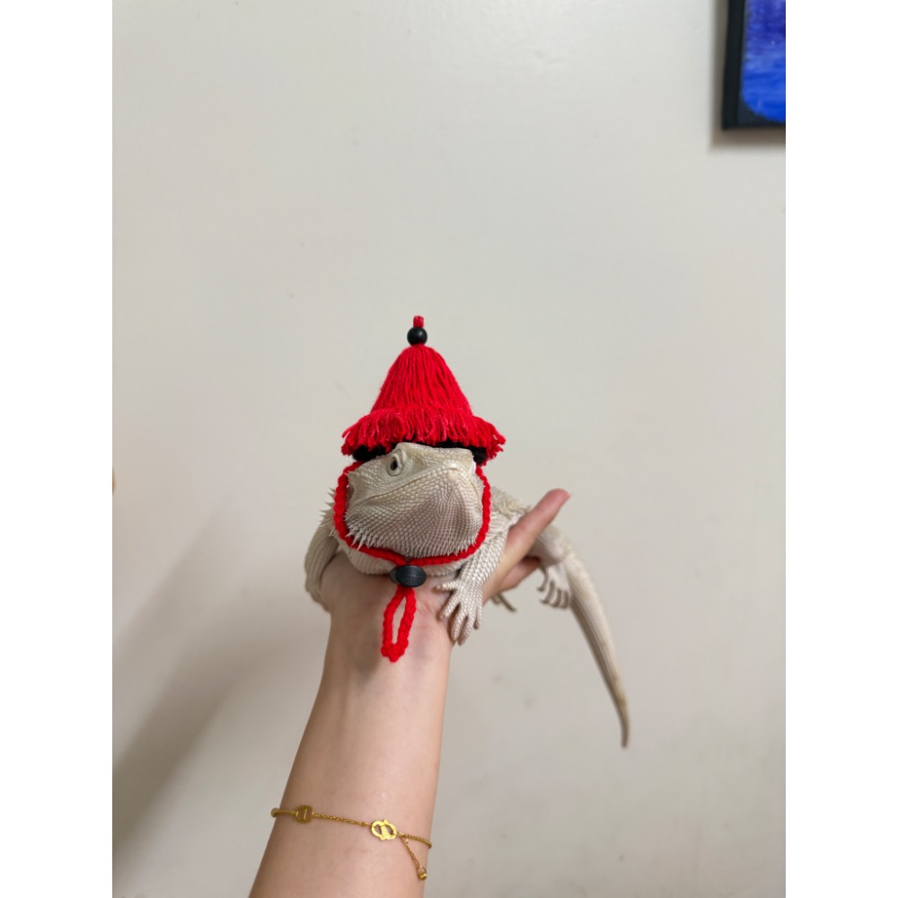 鬆帽帽-細節圖2