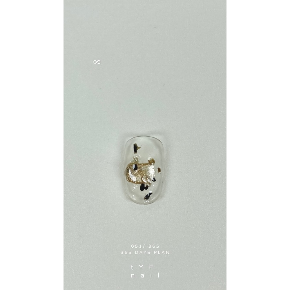 051/ 365 DAYS PLAN 穿戴甲 - tYF nail-細節圖2