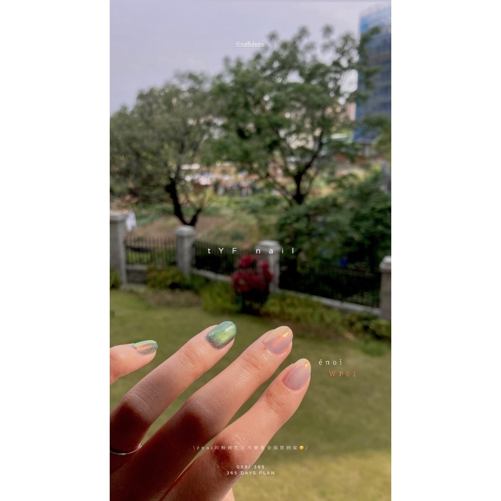 089/ 365 DAYS PLAN 穿戴甲 - tYF nail-細節圖2