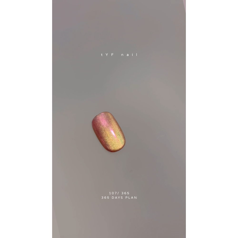 107/ 365 DAYS PLAN 穿戴甲 - tYF nail-細節圖2