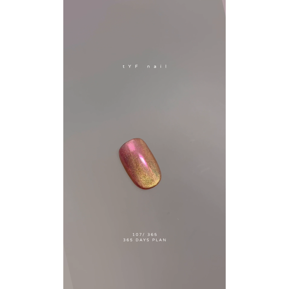 107/ 365 DAYS PLAN 穿戴甲 - tYF nail-細節圖3