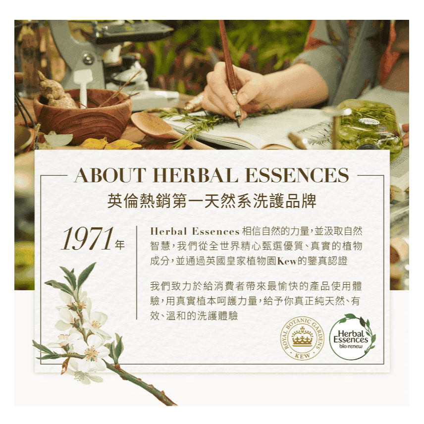 【好市多代購】Herbal Essences 藍薑草本豐盈清香洗髮露 1.2公升-細節圖8