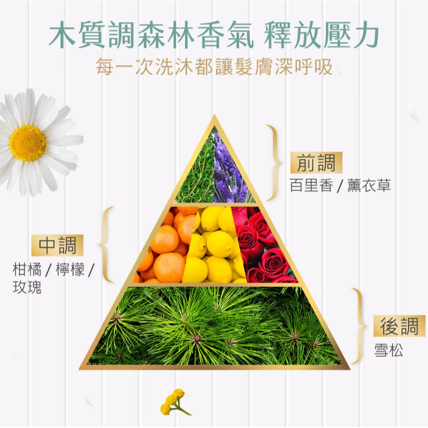 【好市多代購】森歐黎漾 植研萃淨平衡 極致護髮素 1200毫升-細節圖7