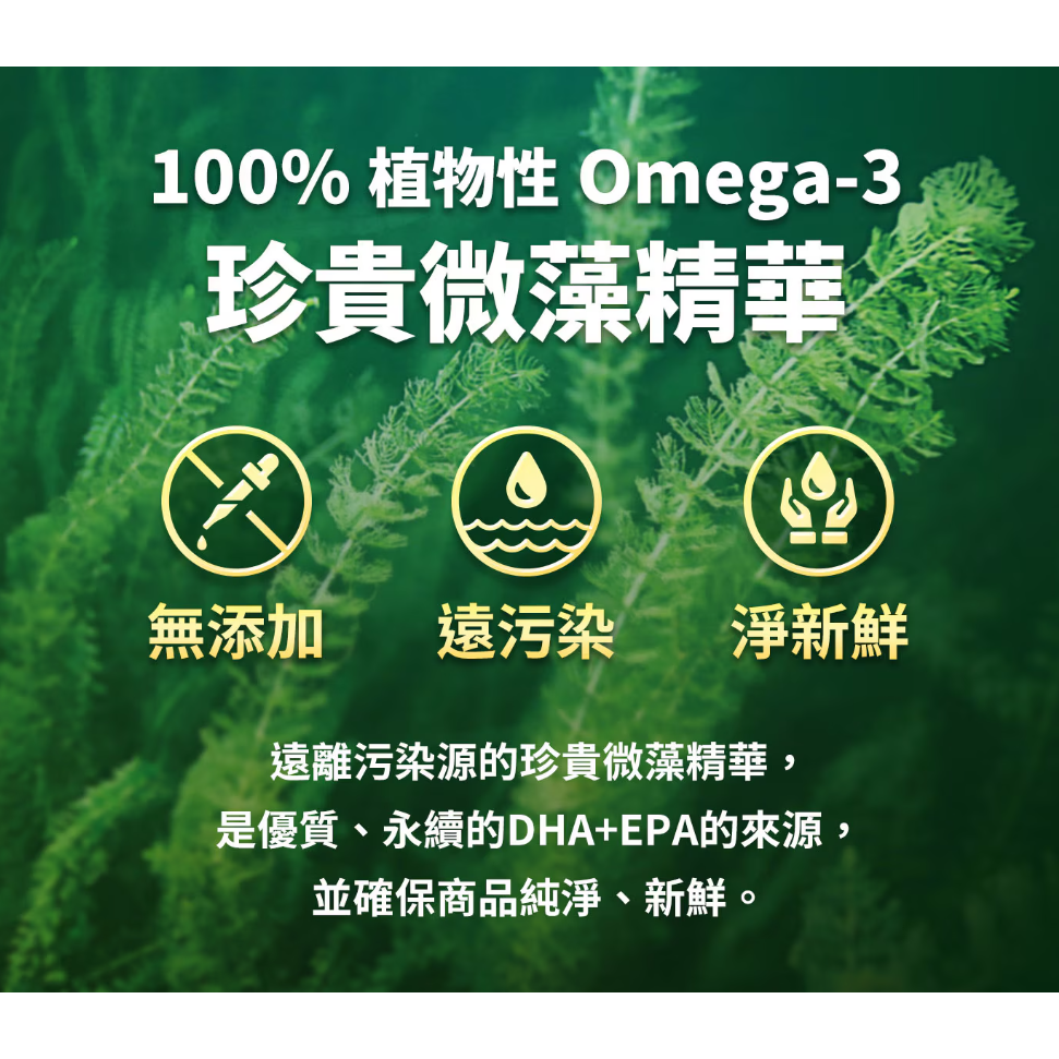 【好市多代購】Schiff MegaRed 濃縮純淨藻油 Omega-3 軟膠囊(食品) 50顆-細節圖5