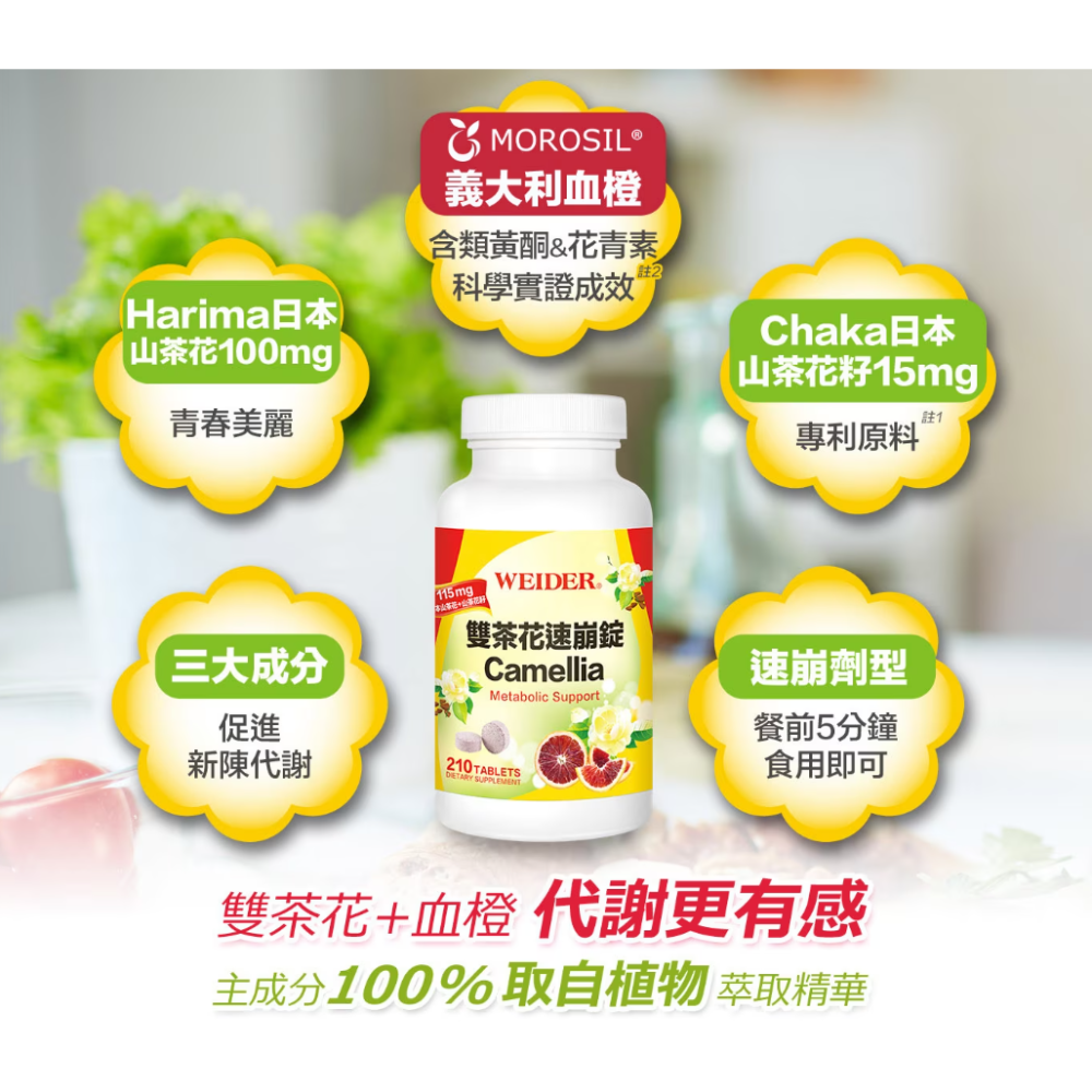 【好市多代購#限時特價】威德 雙茶花速崩錠 210錠~03/08-細節圖3