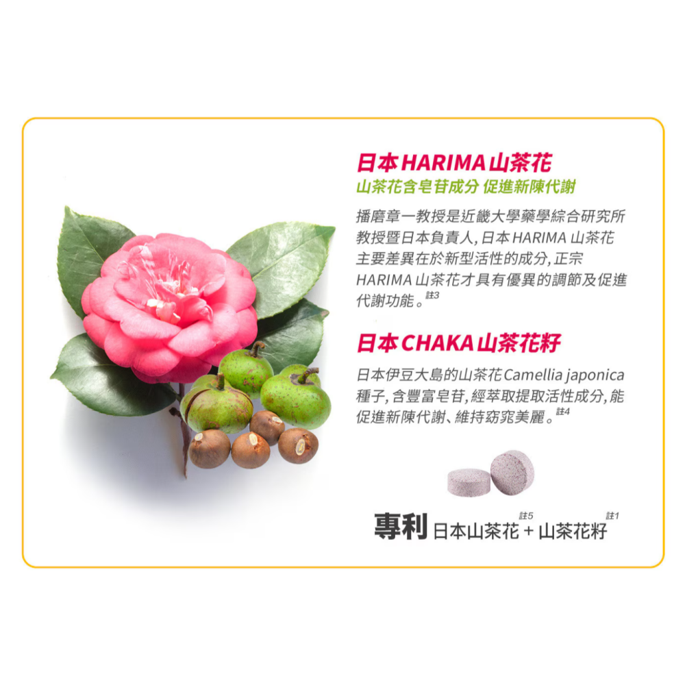 【好市多代購#限時特價】威德 雙茶花速崩錠 210錠~03/08-細節圖4