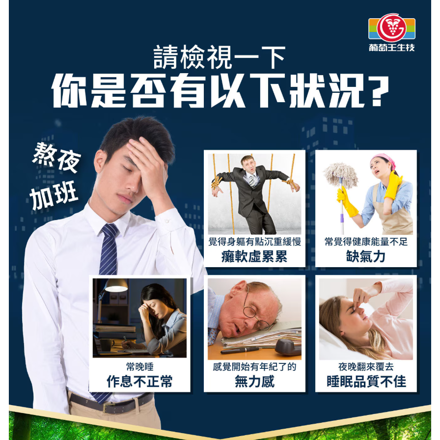 【好市多代購】葡萄王 樟芝王菌絲體膠囊 240粒-細節圖3