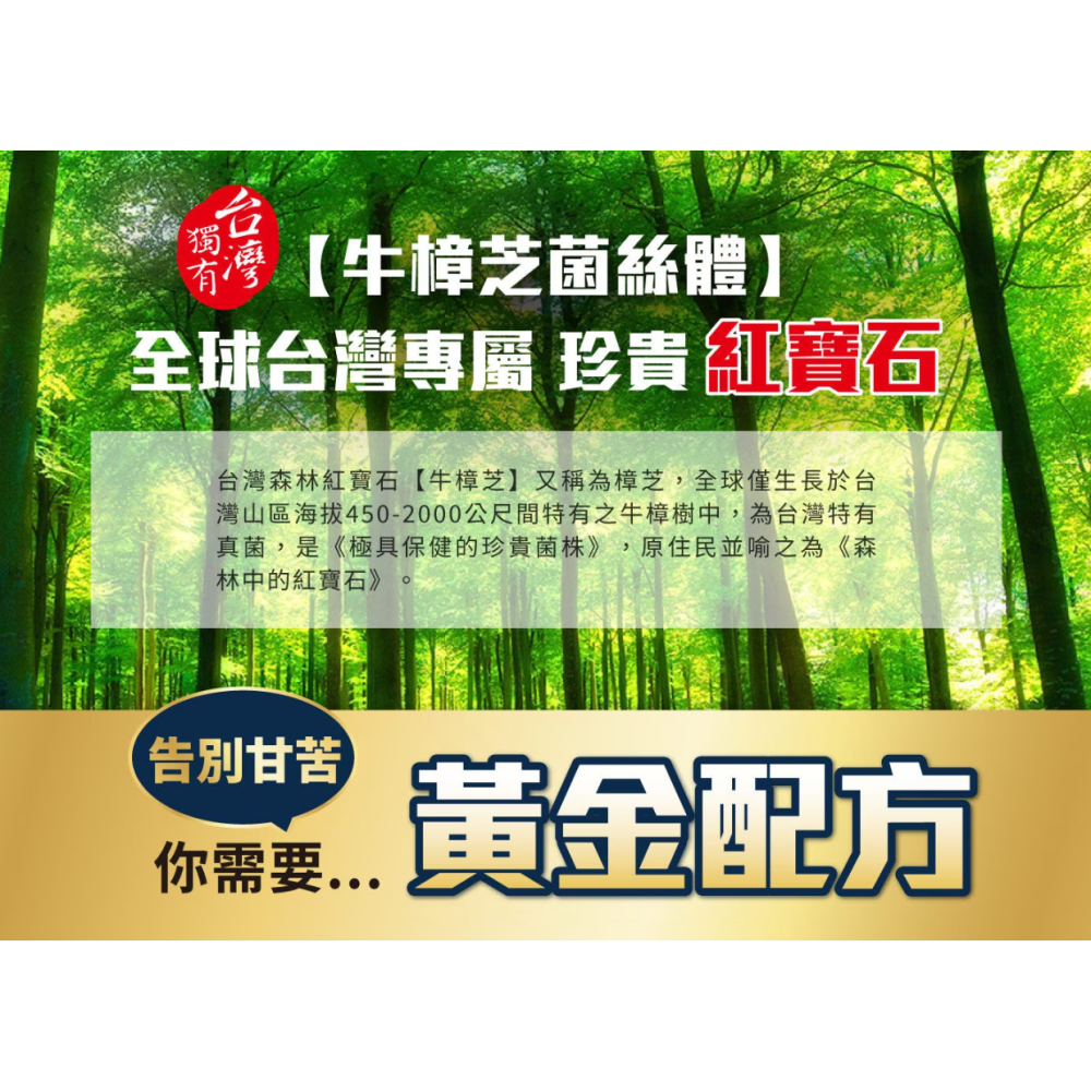 【好市多代購】葡萄王 樟芝王菌絲體膠囊 240粒-細節圖4