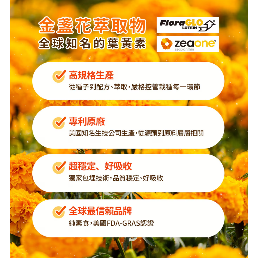 【好市多代購】健康力 葉黃素 (金盞花萃取物) QQ 凍 15公克 X 45條-細節圖6