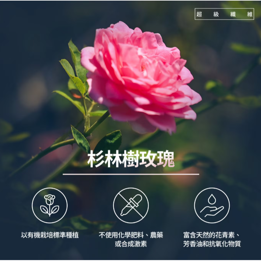 【好市多代購】提提研 超活萃玫瑰潤澤面膜 28入-細節圖5