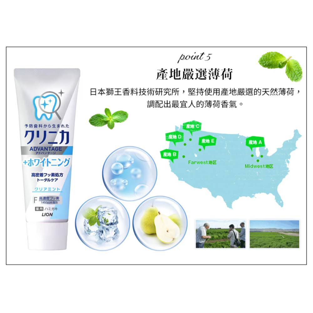 【好市多代購】日本獅王 固齒佳酵素極致亮白牙膏 130公克 X 6入-細節圖6