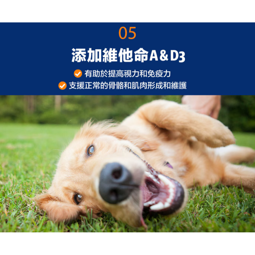 【好市多代購】Vitakraft 犬用原味牛肉條 12公克 X 50條-細節圖7