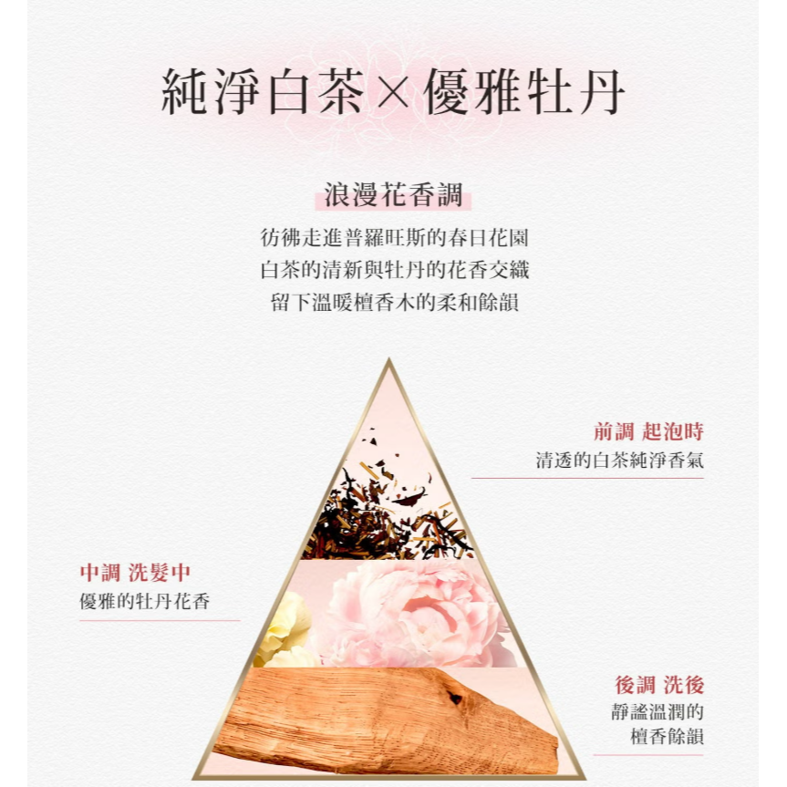 【好市多代購】潘婷 白茶牡丹香氛洗護組 洗髮露 440公克 + 護髮素 440公克-細節圖3