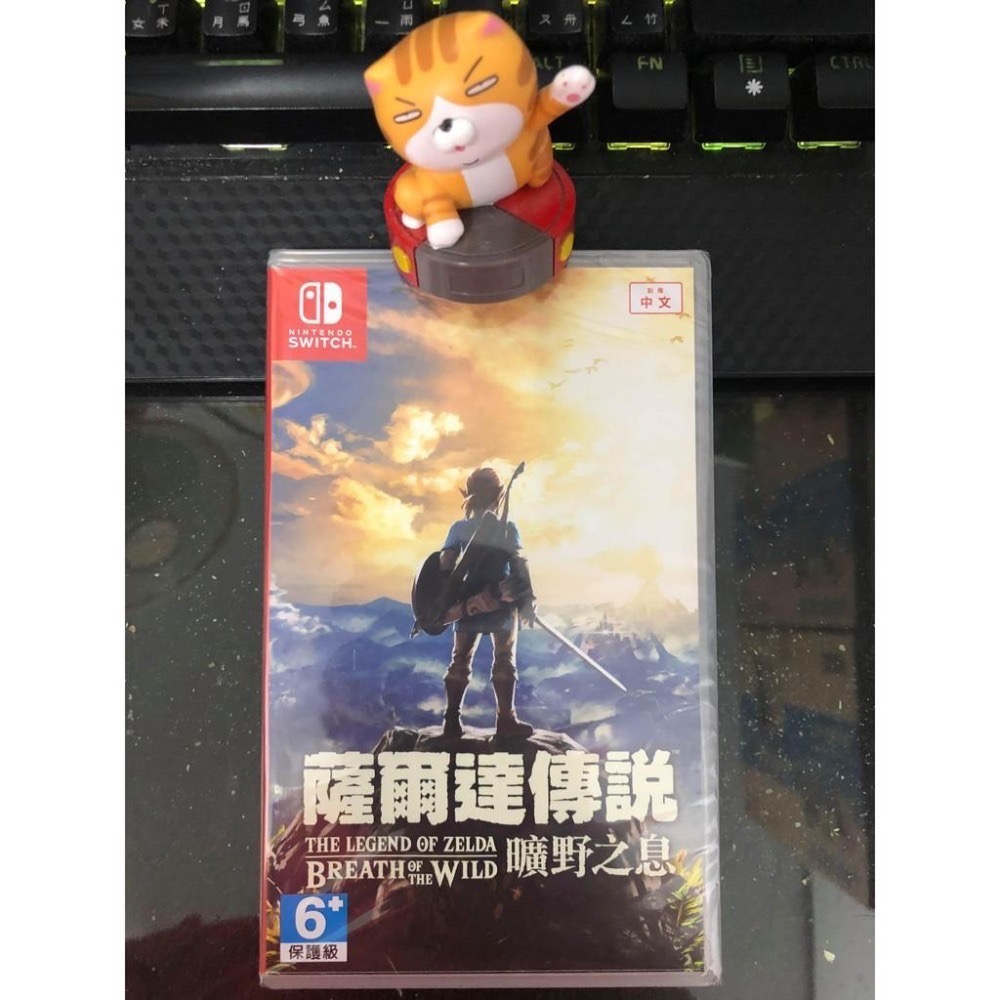 🕹【電玩小舖】🕹 現貨 全新 NS switch 薩爾達傳說 曠野之息 擴充版 中文版-細節圖2